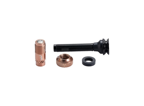 BBB CoreCap BTI-166 Tubeless Ventil 40mm Bil, Alu, AL Ventil, (par) 