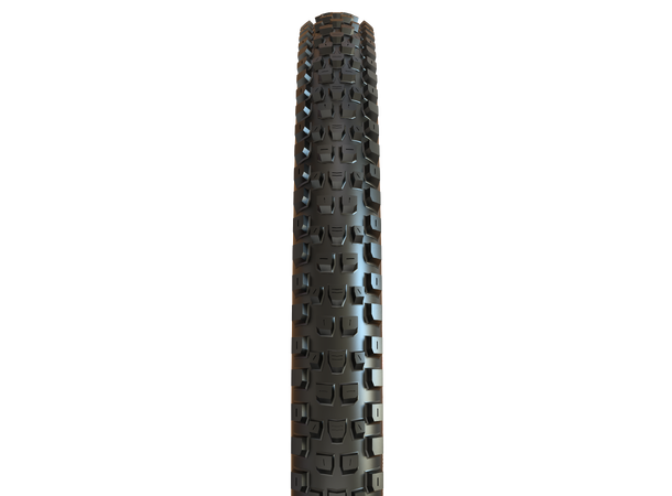 Maxxis Dissector II 29" TR DD Dekk 29x2.40, E25, 1190g, 2x120TPI, MaxxTerra 
