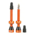 Tubolight Tubeless Ventil 50mm PAR Orans Presta, alu, 12gr (par)