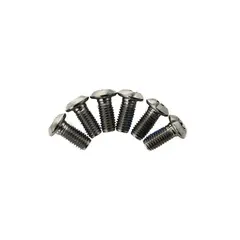 TRP Bremseskive Skrue TITAN Sett Torx T25, M5, 6stk