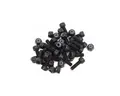 Race Face Chester Pedal Pin Kit PEDAL PIN KIT,CHESTER,PIN&amp;NUT,20 SETS